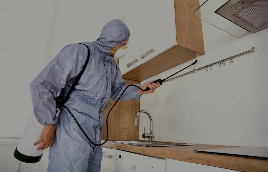 Covina pest managment